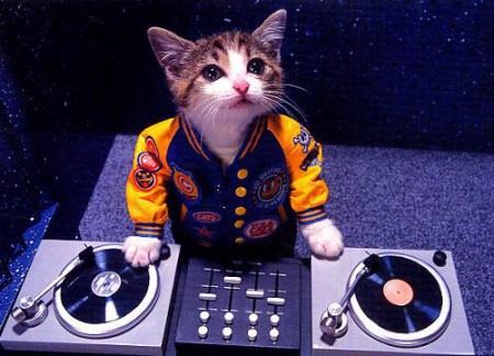 A DJ Hero, ništa? :'(